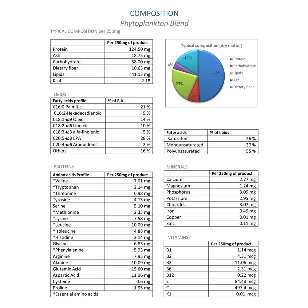 Phyto Synergy | Super Antioxidant (2 Sizes)