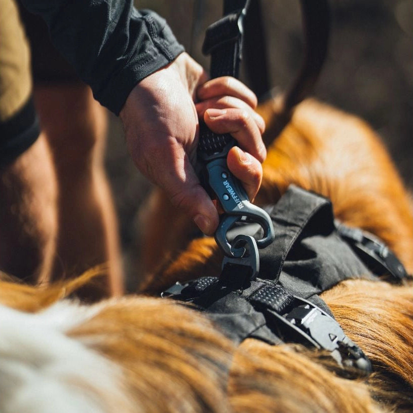 Ridgeline™ Reflective Hands-Free Dog Leash with Auto-Locking Clip | Obsidian Black