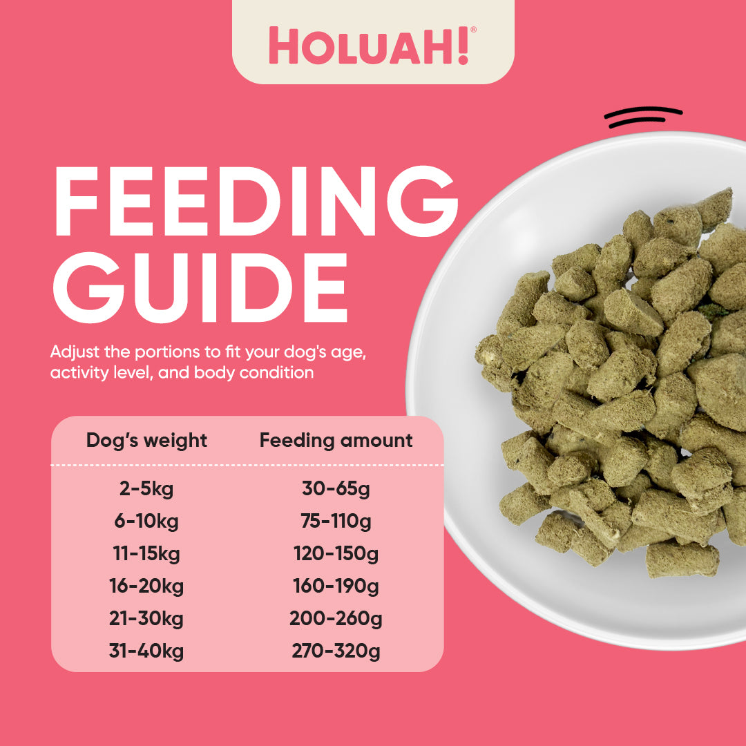 Freeze Dried Pork Dog Food (400g)