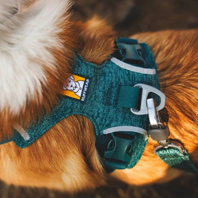 Front Range® Flex No-Pull Dog Knit Harness (4 Colours)