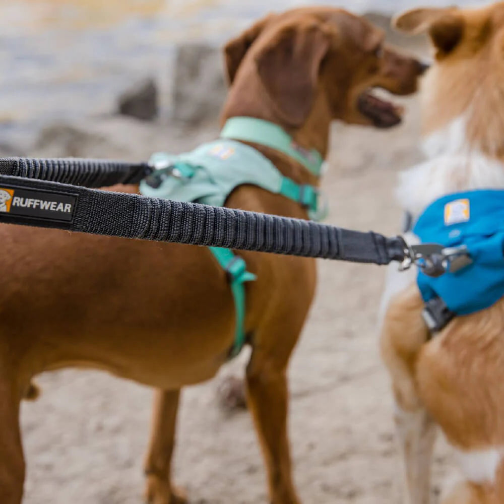 Double Track™ Dog Leash Coupler