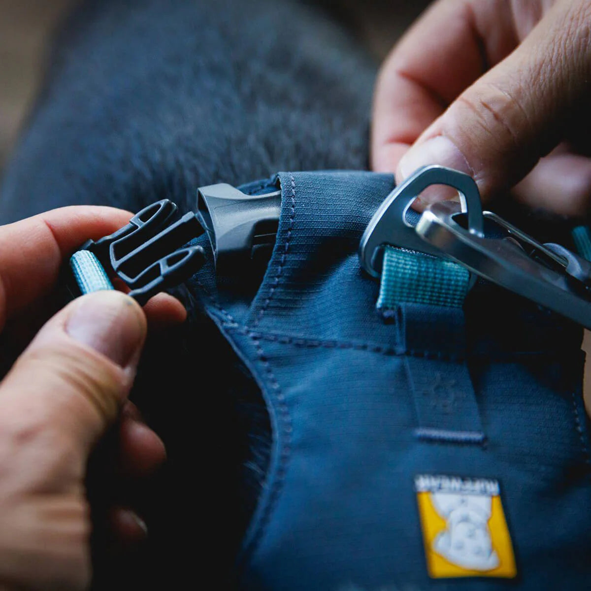 Hi & Light™ Lightweight Dog Harness (4 Colours)