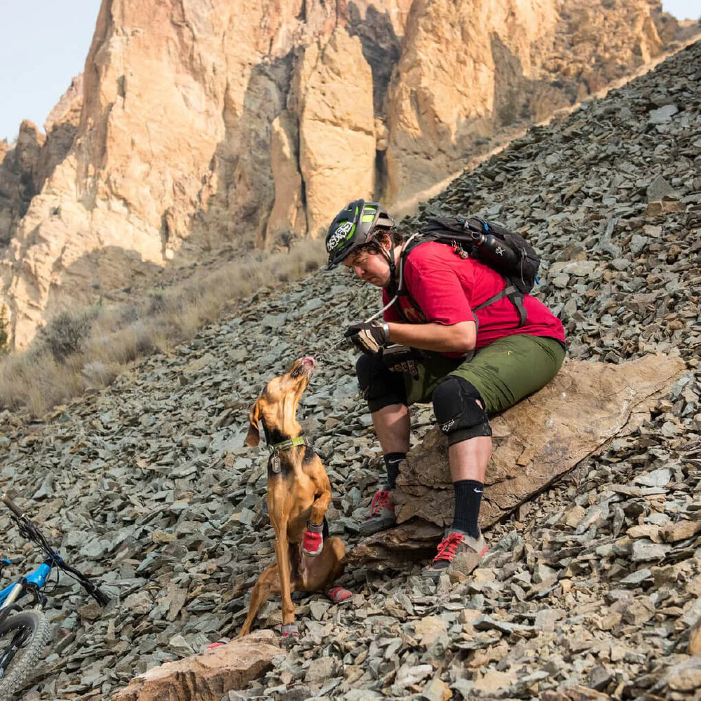 Grip Trex™ All-Terrain Dog Boots (2 Colours)