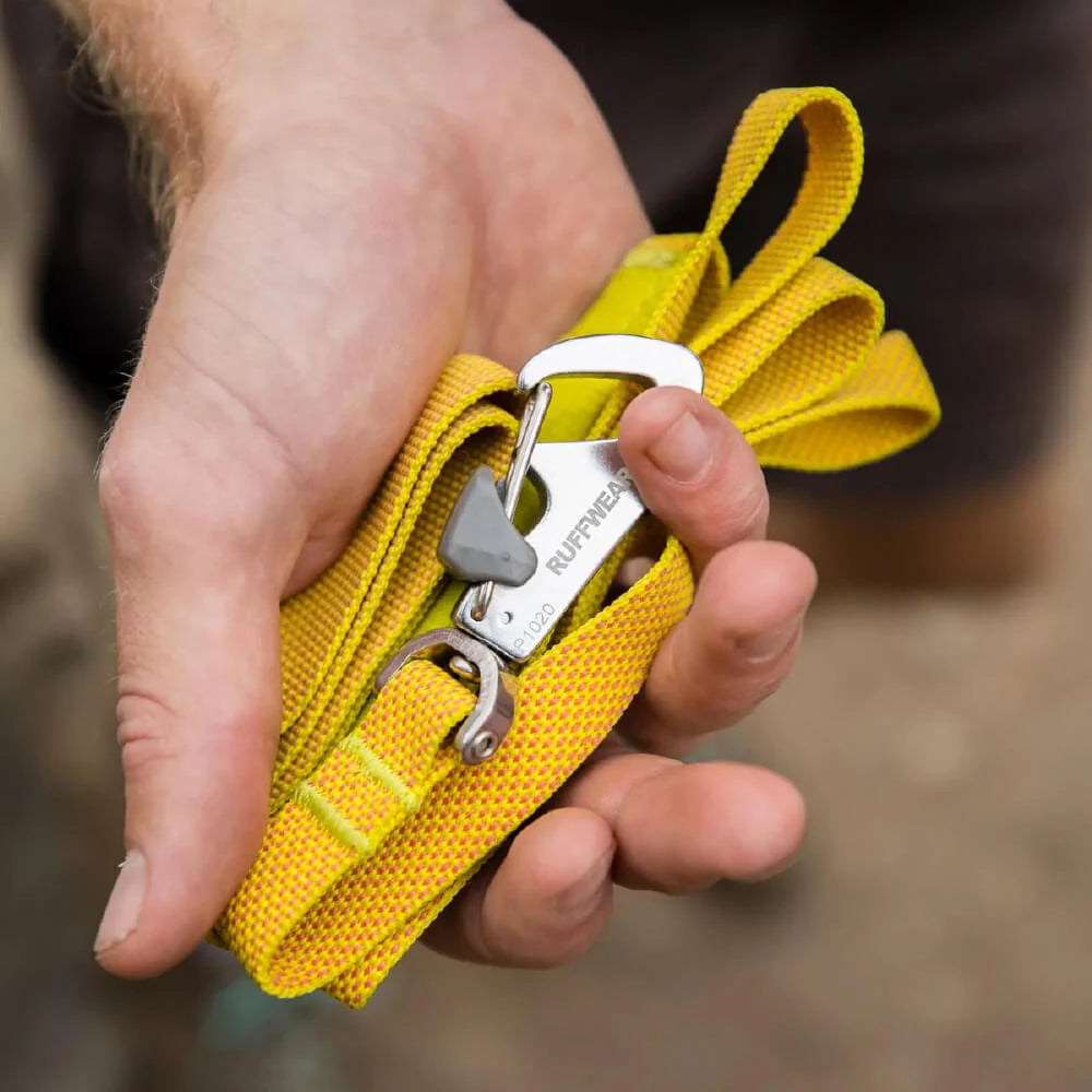 Hi & Light™ Lightweight Dog Leash (4 Colours)