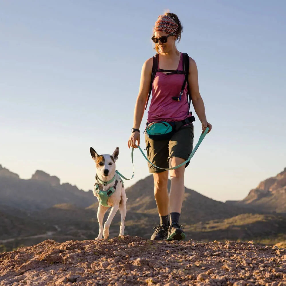Hi & Light™ Lightweight Dog Leash (4 Colours)