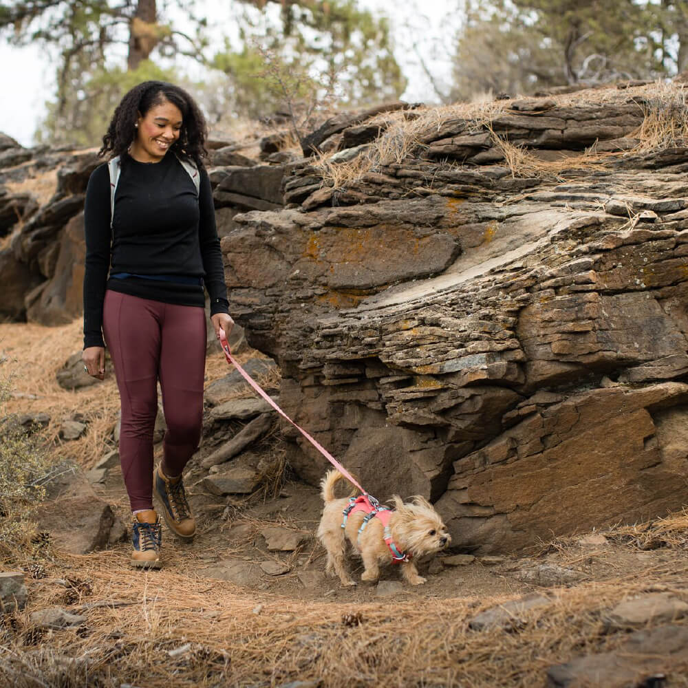Hi & Light™ Lightweight Dog Leash (4 Colours)