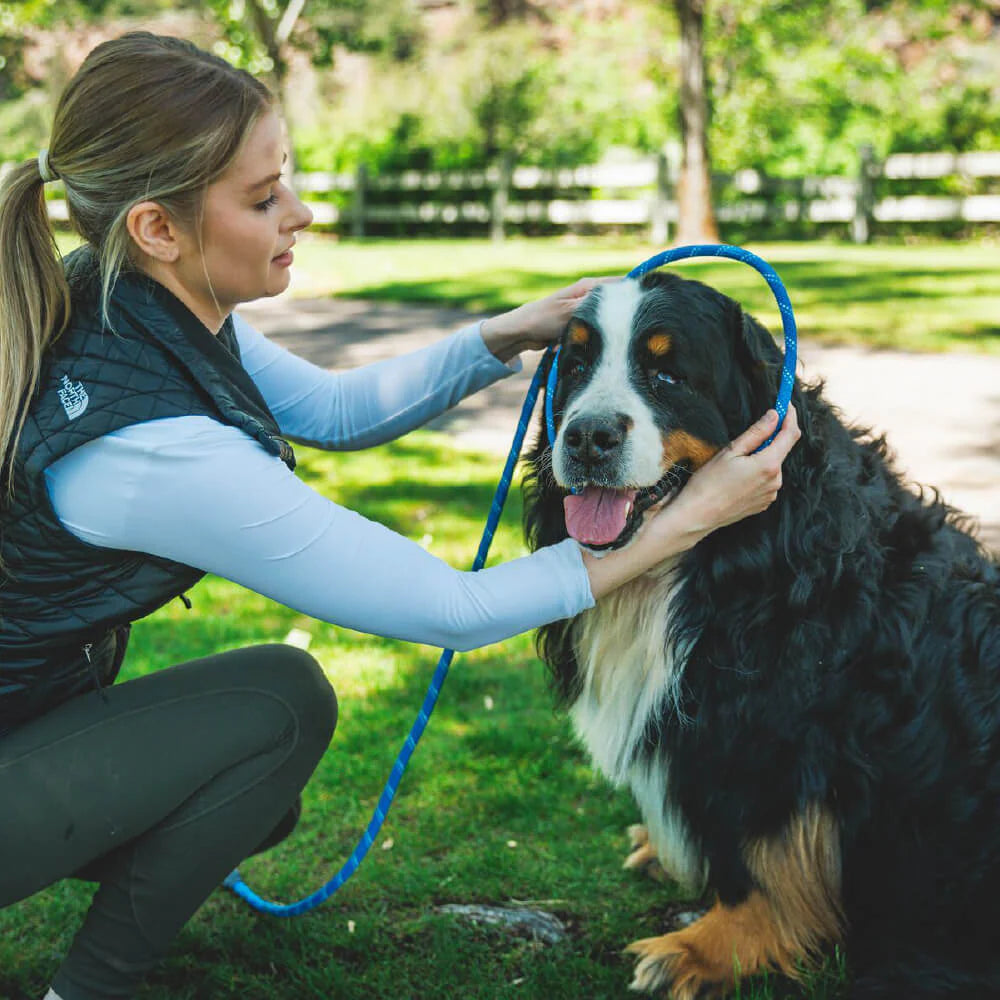 Just-a-Cinch™ Reflective Rope Slip Dog Leash (4 Colours)