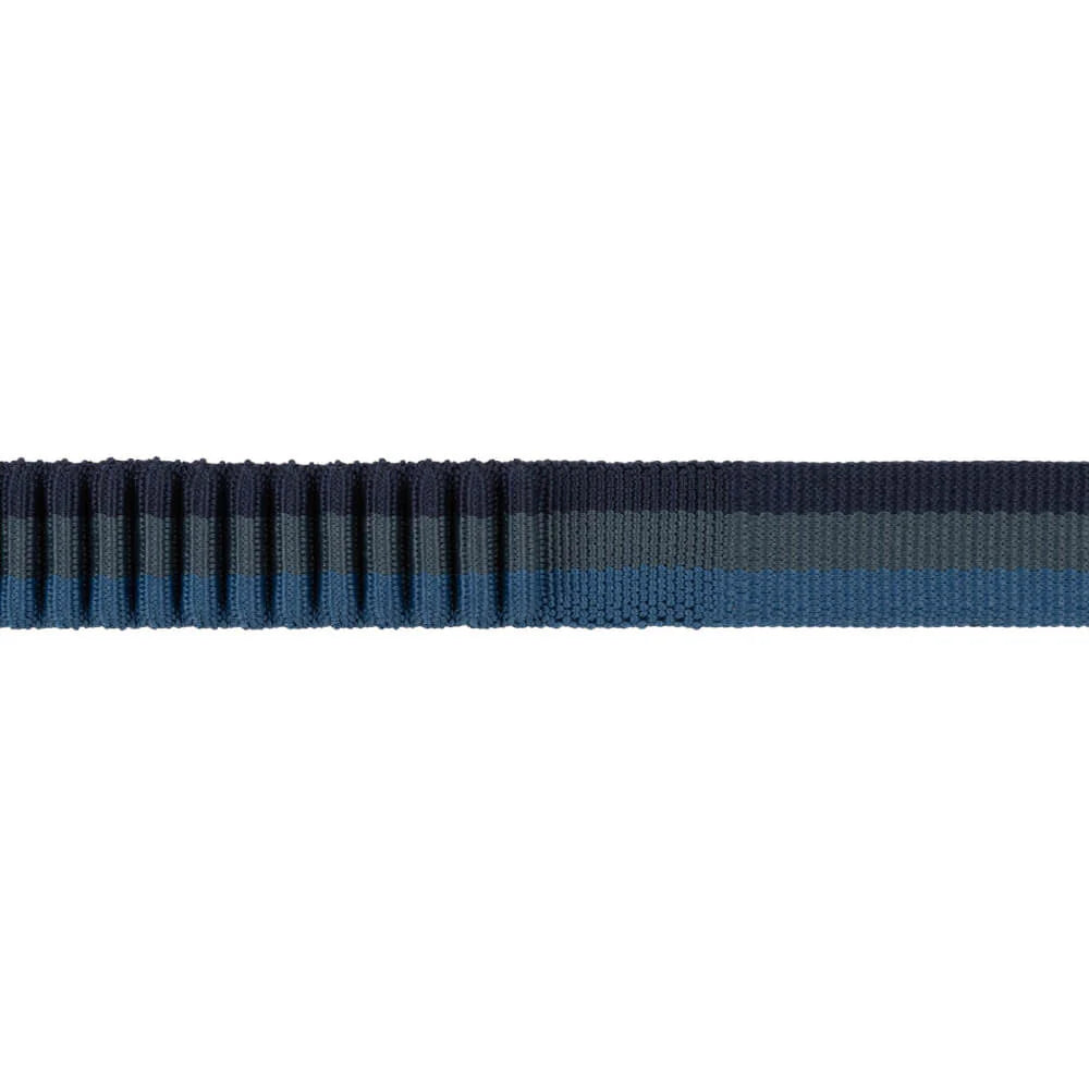 Roamer™ Multi-Use Bungee Dog Leash (3 Colours)