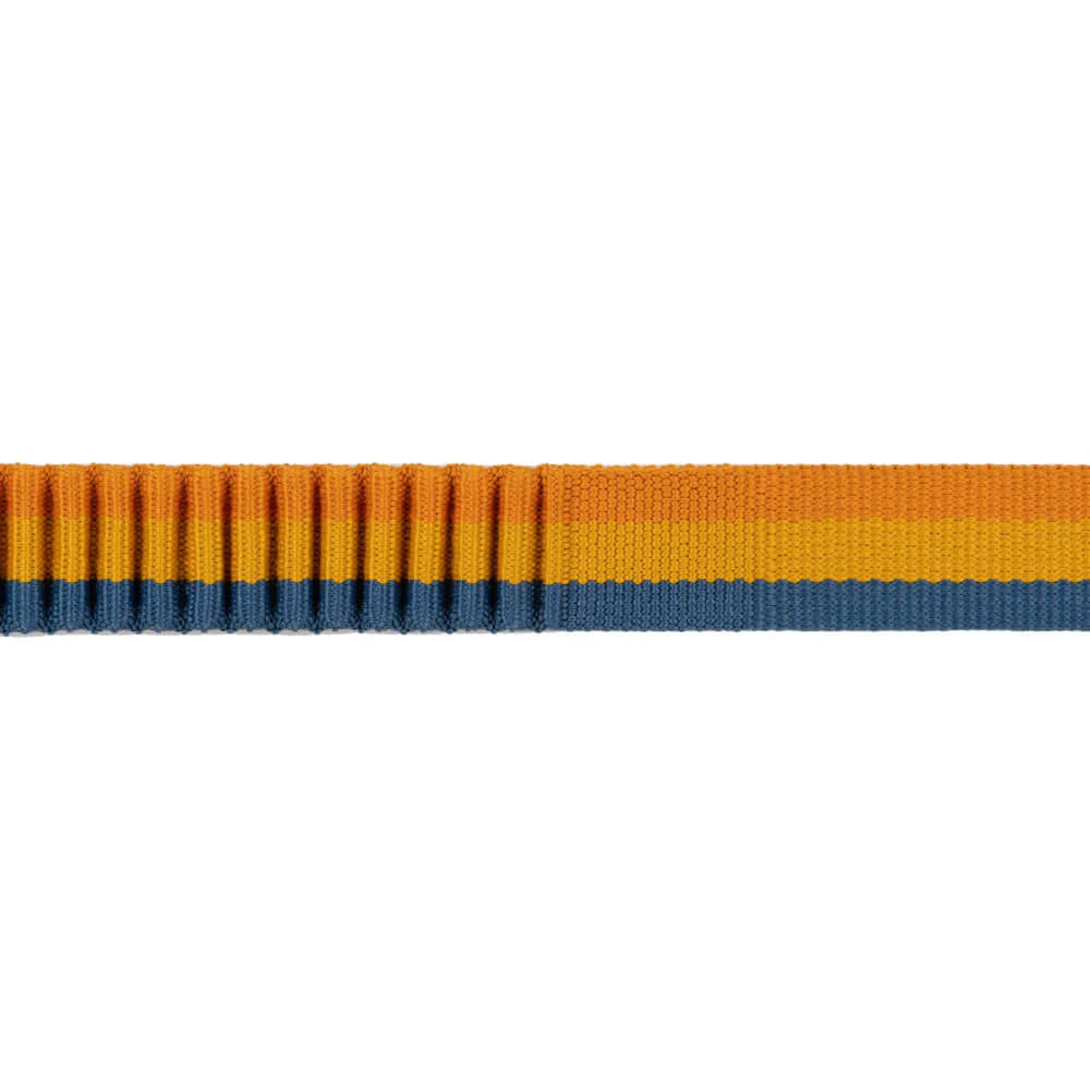 Roamer™ Multi-Use Bungee Dog Leash (3 Colours)