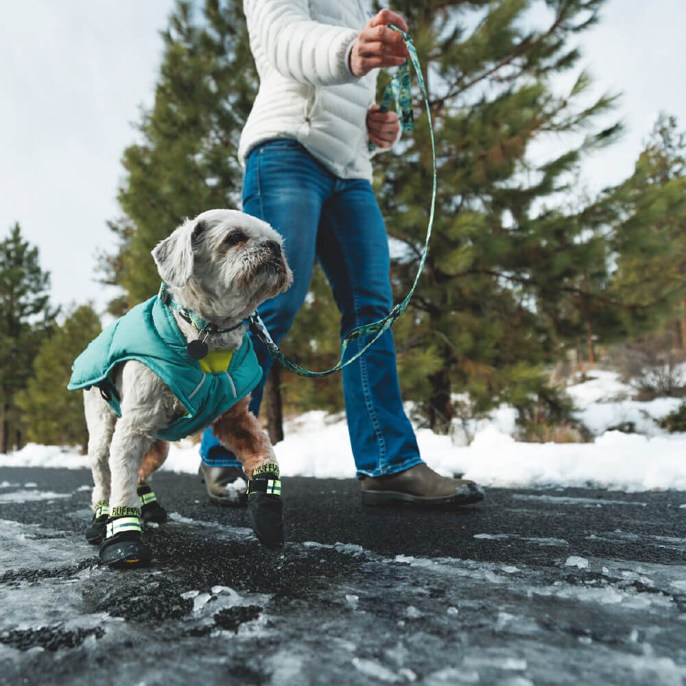 Summit Trex™ All-Season Dog Boots (2 Colours)