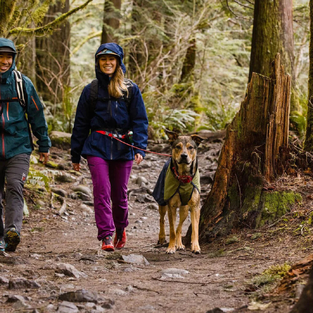 Sun Shower™ Dog Raincoat (2 Colours)