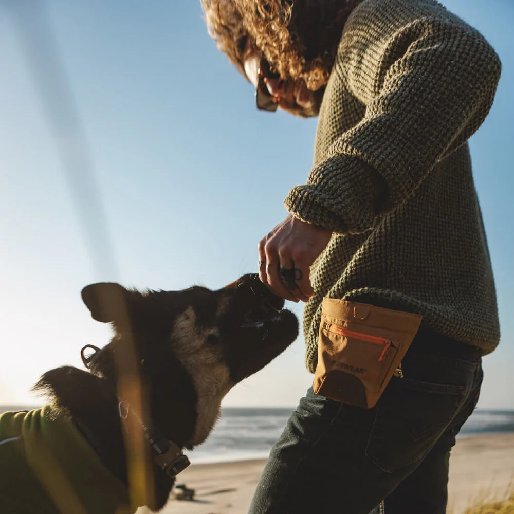 Treat Trader™ Dog Treat Pouch (3 Colours)