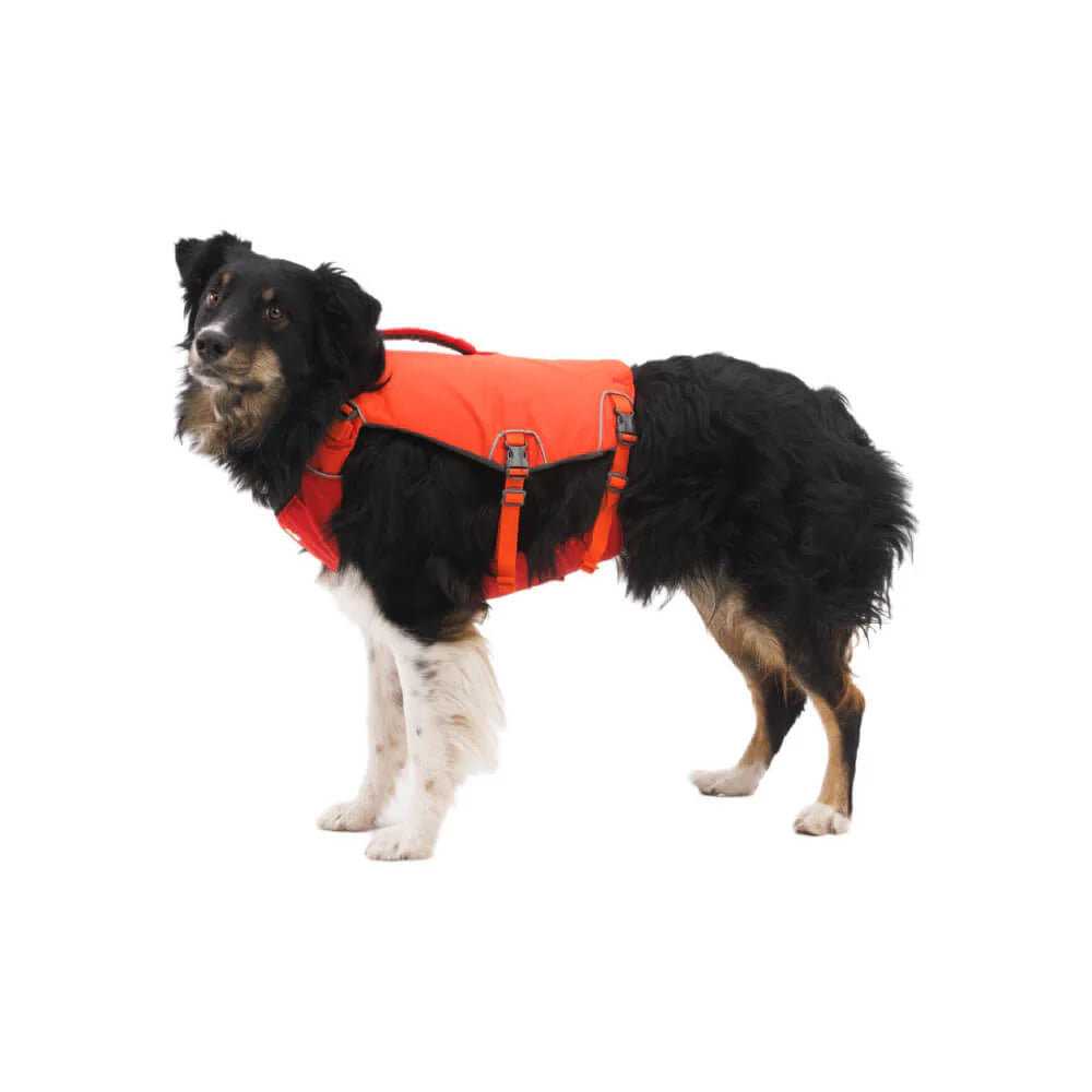 Web Master™ Dog Harness with Handle (4 Colours)