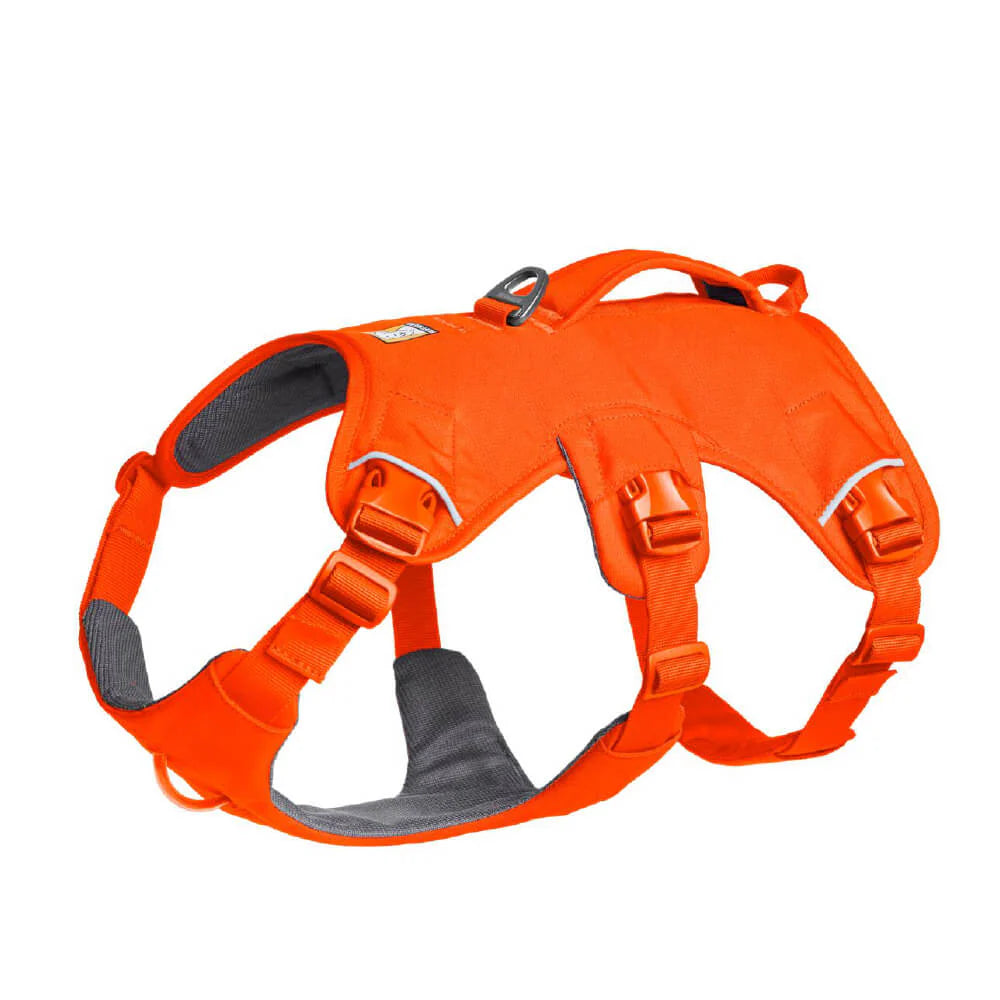 Web Master™ Dog Harness with Handle (4 Colours)
