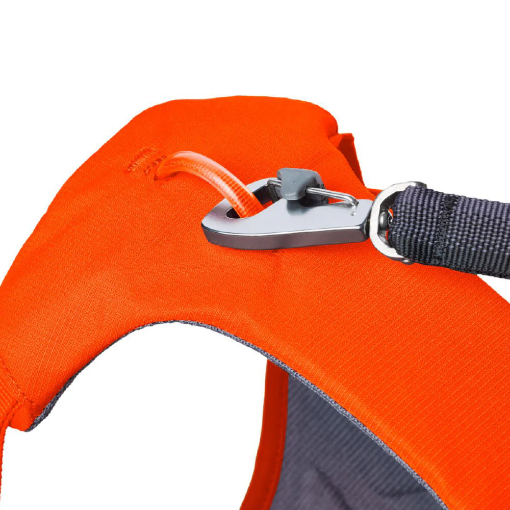 Web Master™ Dog Harness with Handle (4 Colours)