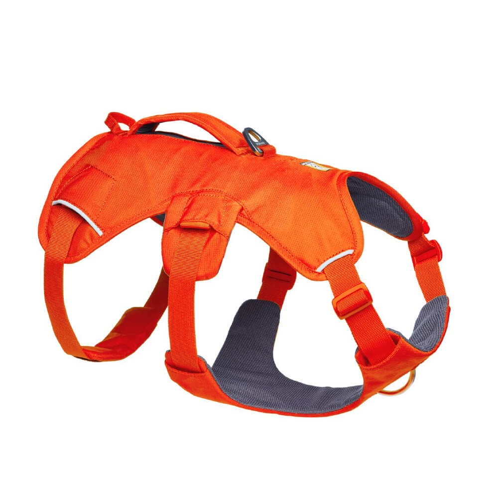 Web Master™ Dog Harness with Handle (4 Colours)
