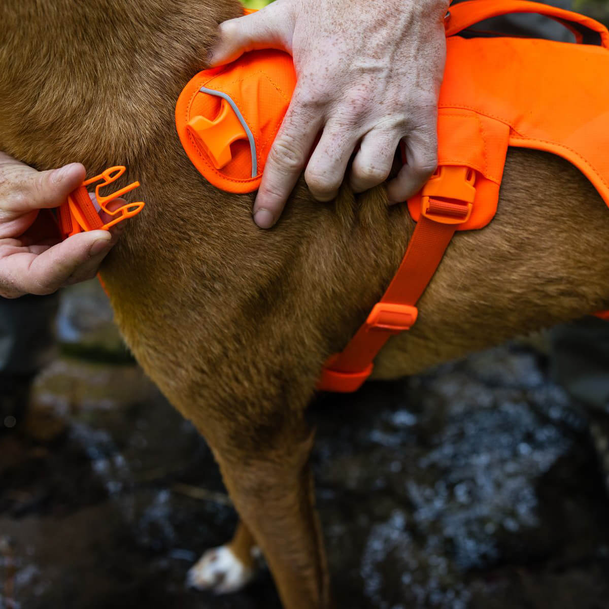 Web Master™ Dog Harness with Handle (4 Colours)