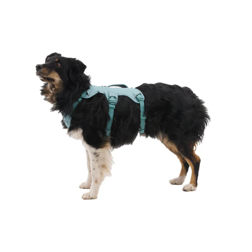 Web Master™ Dog Harness with Handle (4 Colours)