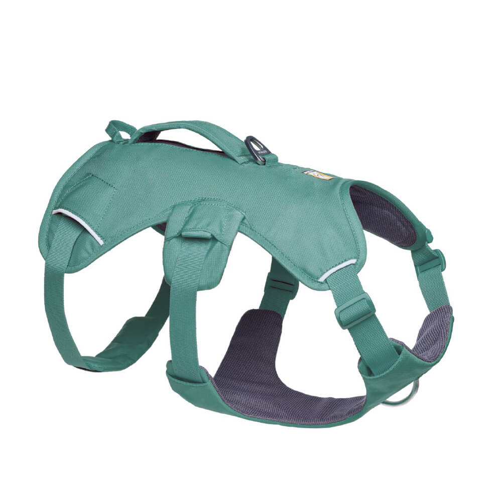 Web Master™ Dog Harness with Handle (4 Colours)