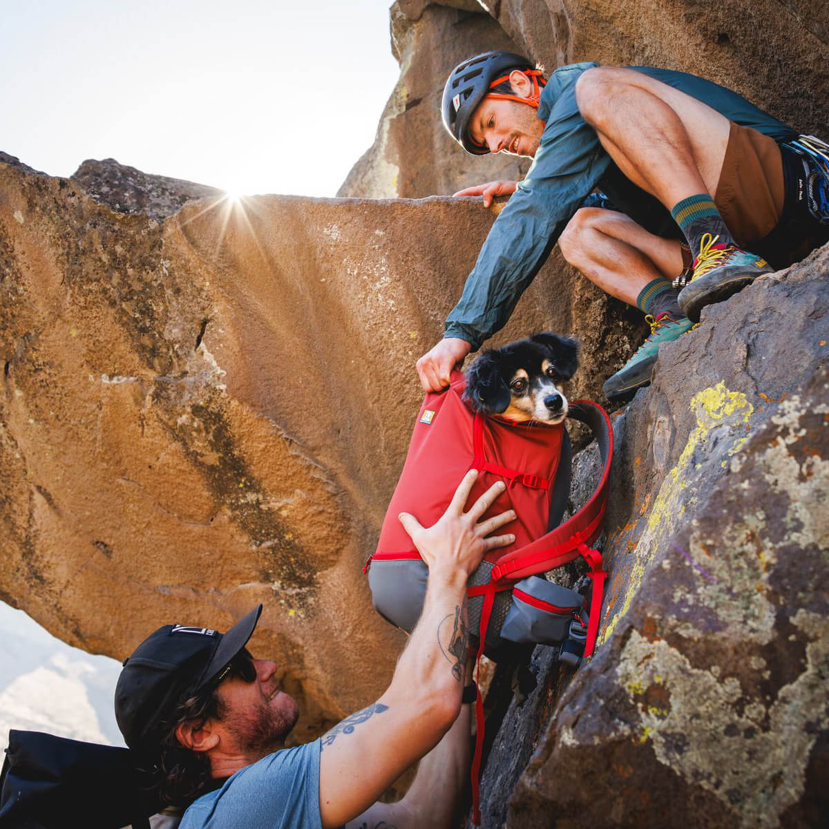 Hitch Hiker™ Dog Backpack Carrier