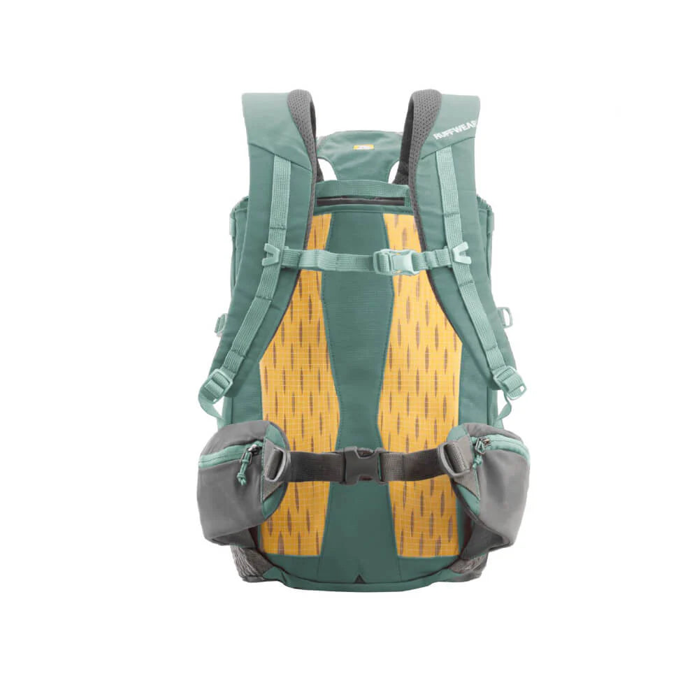 Hitch Hiker™ Dog Backpack Carrier