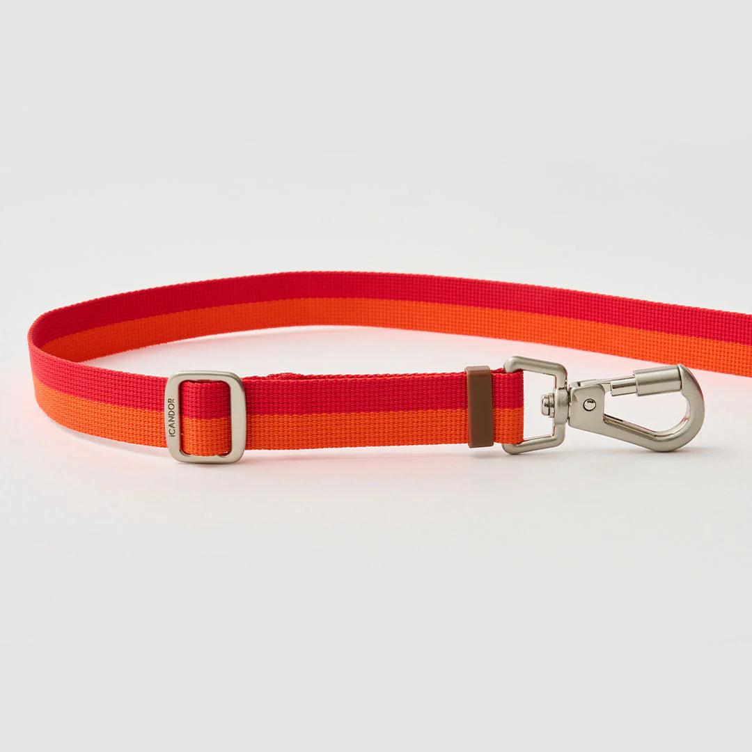 Gentle Adjustable Bolt Leash – Regular & Hands-Free Walk | Sunset