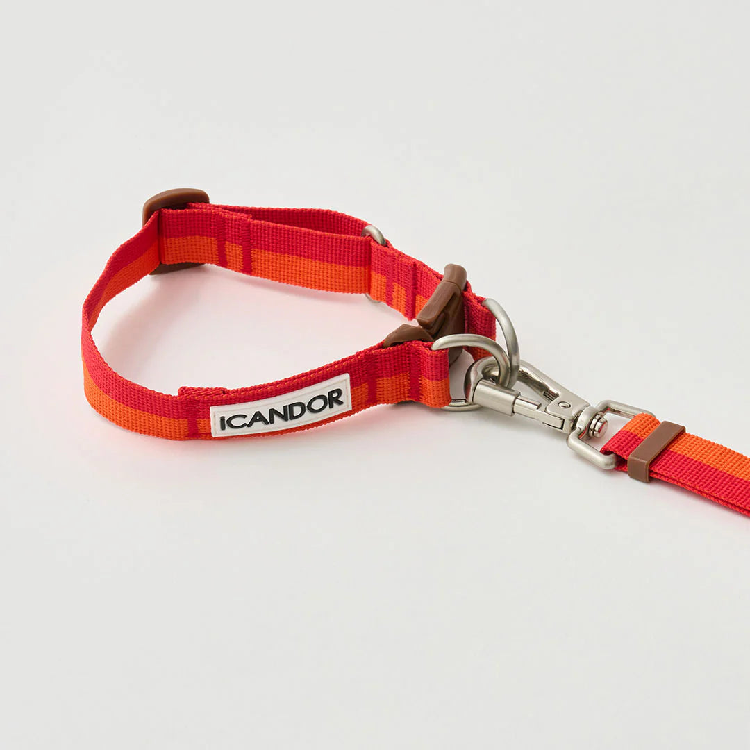 Gentle Adjustable Bolt Leash – Regular & Hands-Free Walk | Sunset