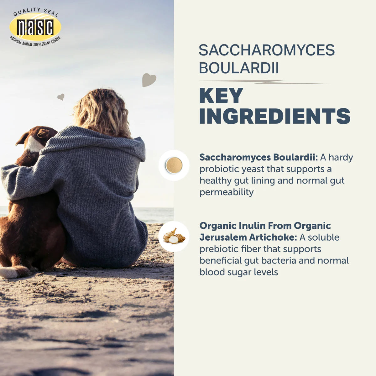 Saccharomyces Boulardii | Manages Gastrointestinal Issues