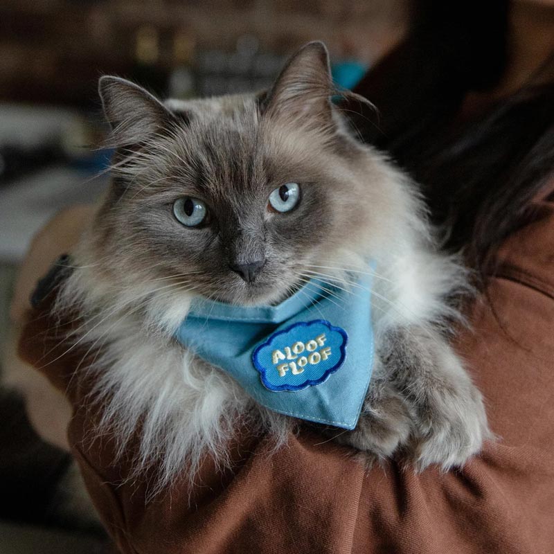 Aloof Floof Iron-on Patch