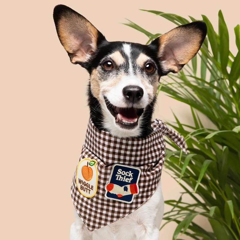 Wiggle Butt Iron-on Patch