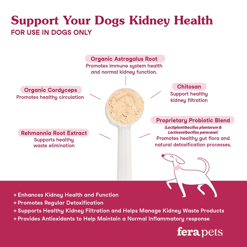 Kidney Support for Dogs