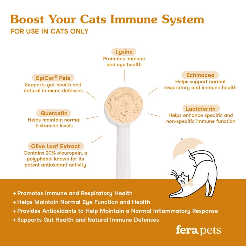 Lysine Immune Support For Cats
