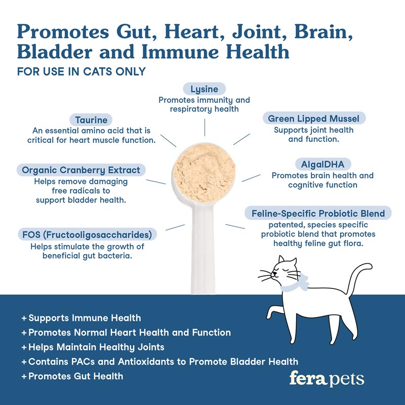 Wellness Blend Supplement For Cats