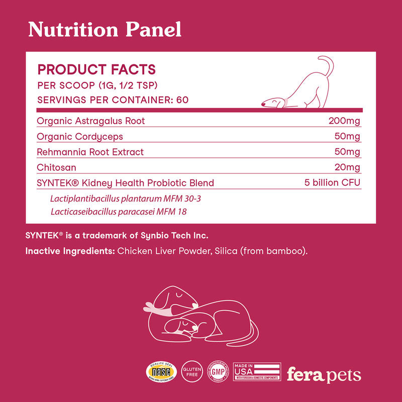 Kidney Support for Dogs