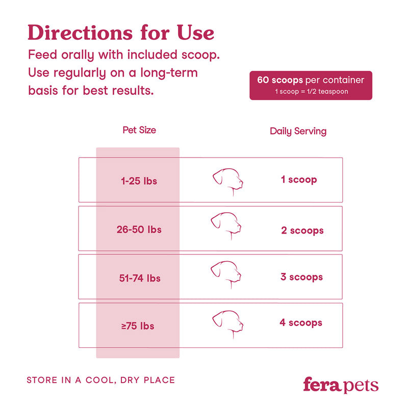 Kidney Support for Dogs