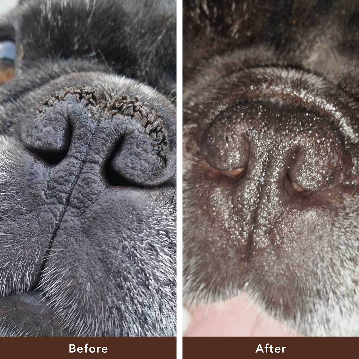 Organic Snout Soother® Balm