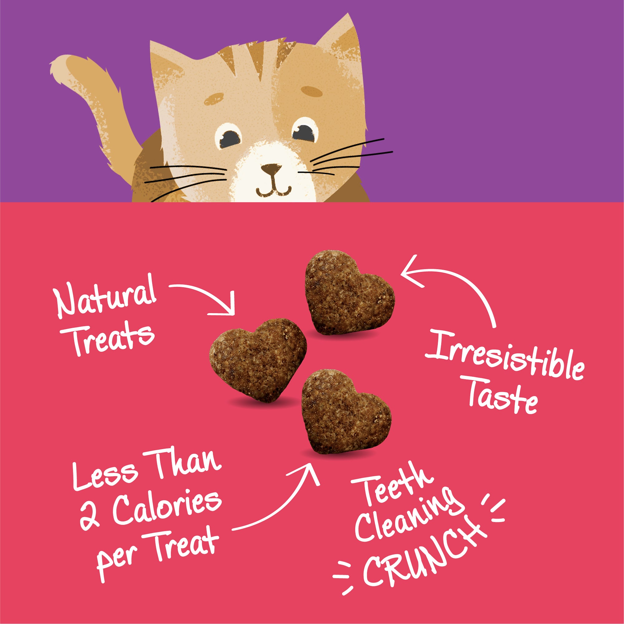 Kittles Salmon & Cranberries Cat Treats (2oz)