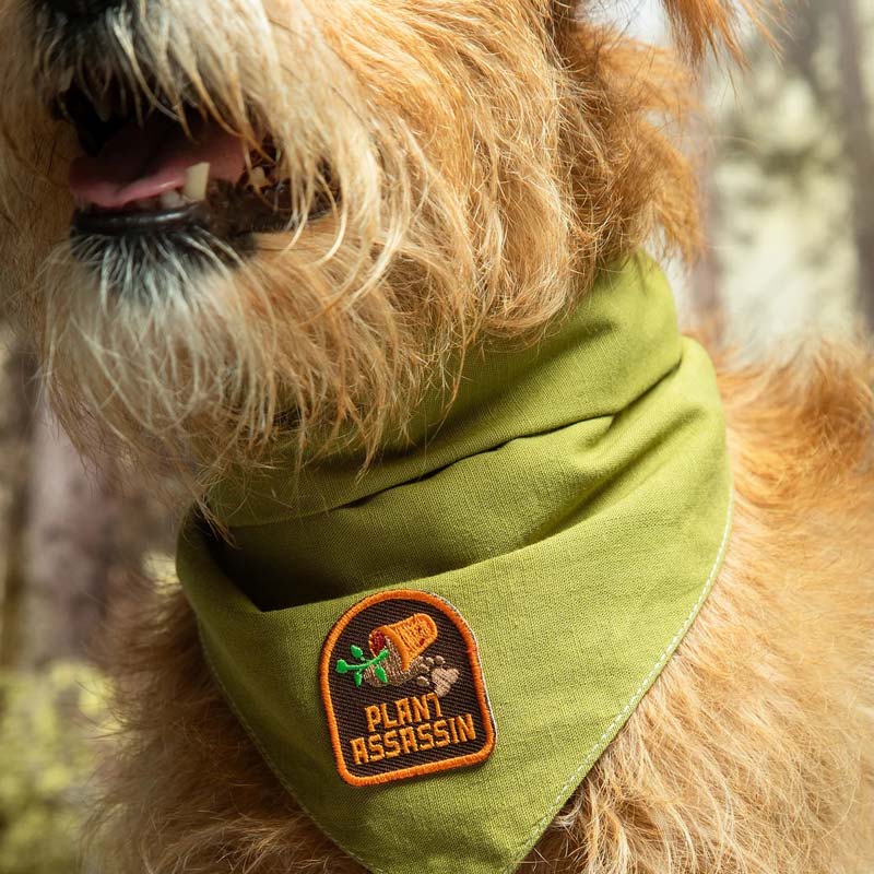 Plant Assassin Iron-on Patch