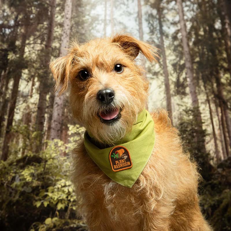 Plant Assassin Iron-on Patch