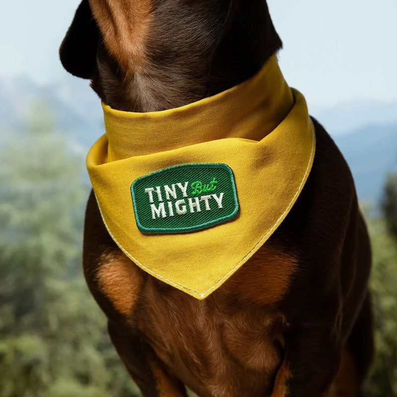 Tiny But Mighty Iron-on Patch