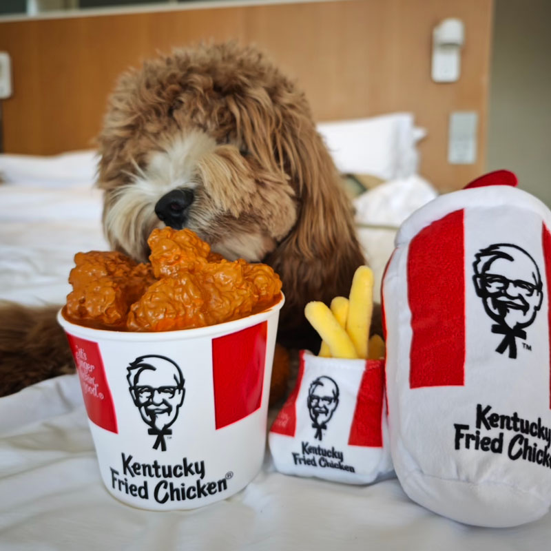 KFC Feast Nosework Plush and Latex Dog Toy