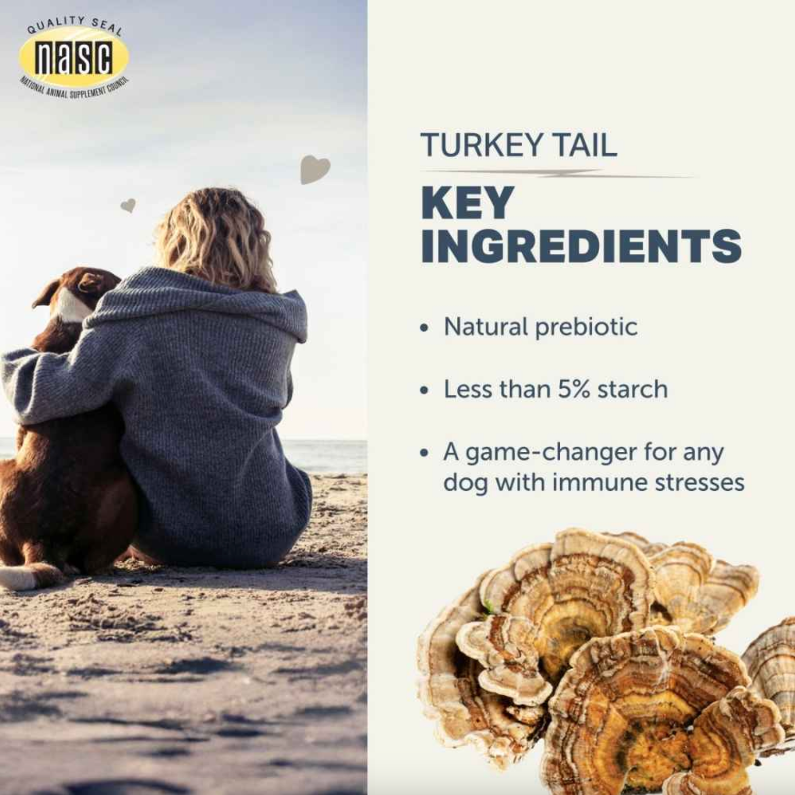 Turkey Tail Mushroom | Immune Booster Dog Supplement