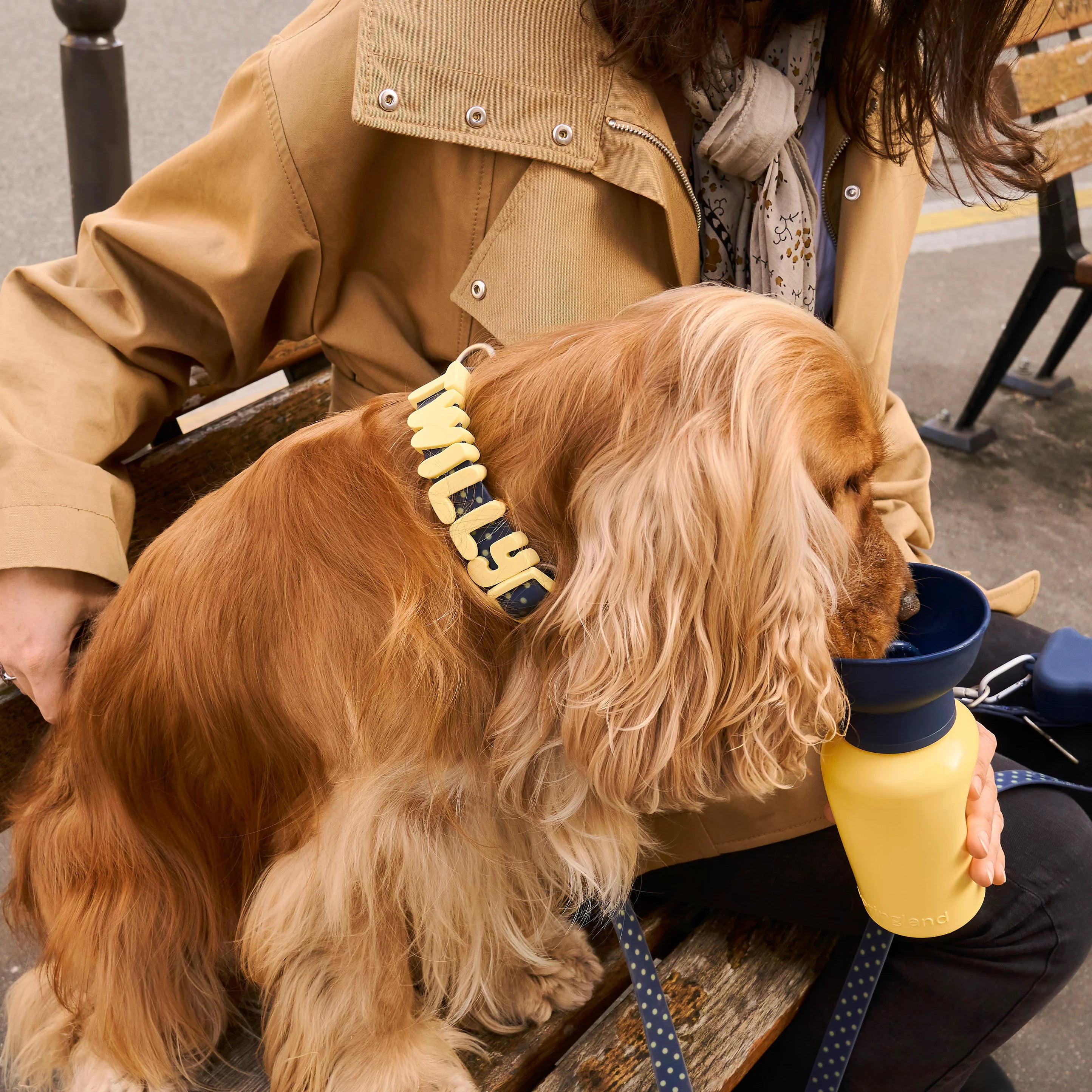 Limited Edition | Flip Dog Travel Water Bottle