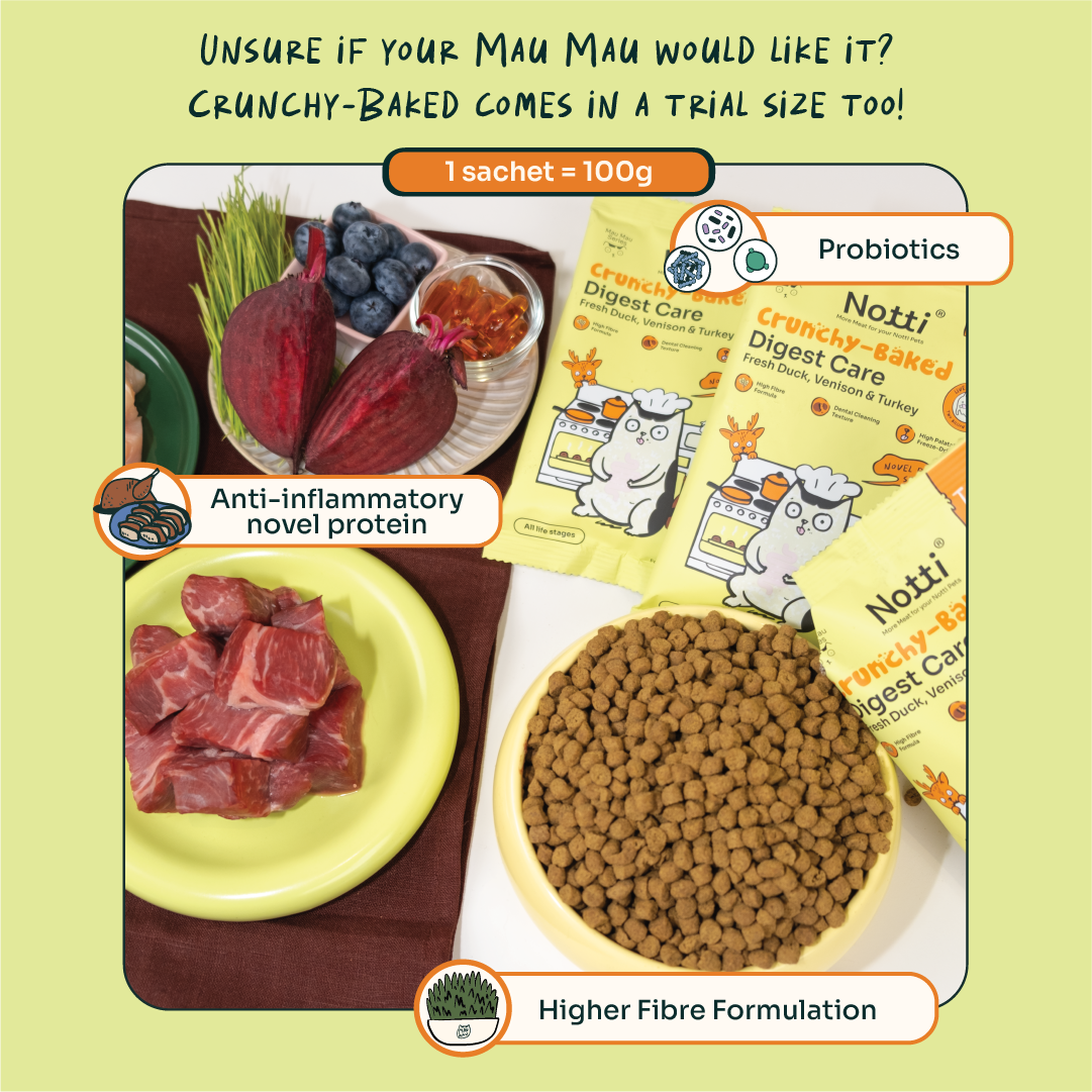 Notti Crunchy-Baked Digest Care Fresh Duck, Venison & Turkey Cat Dry Food