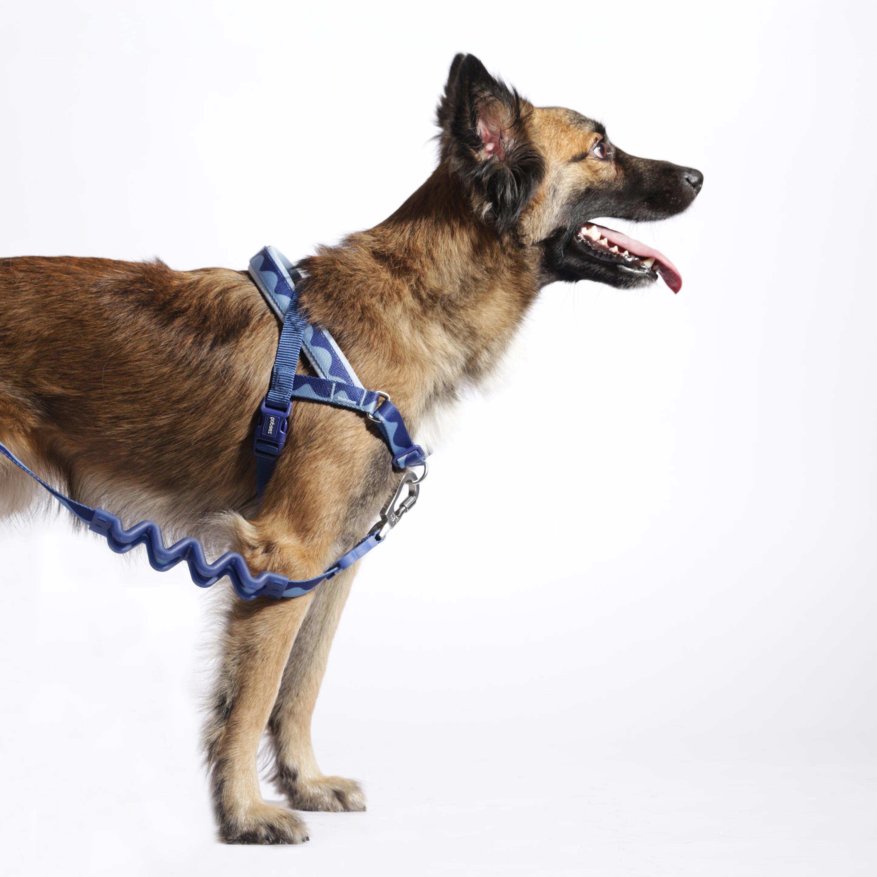Swell Softer Walk Dog Harness