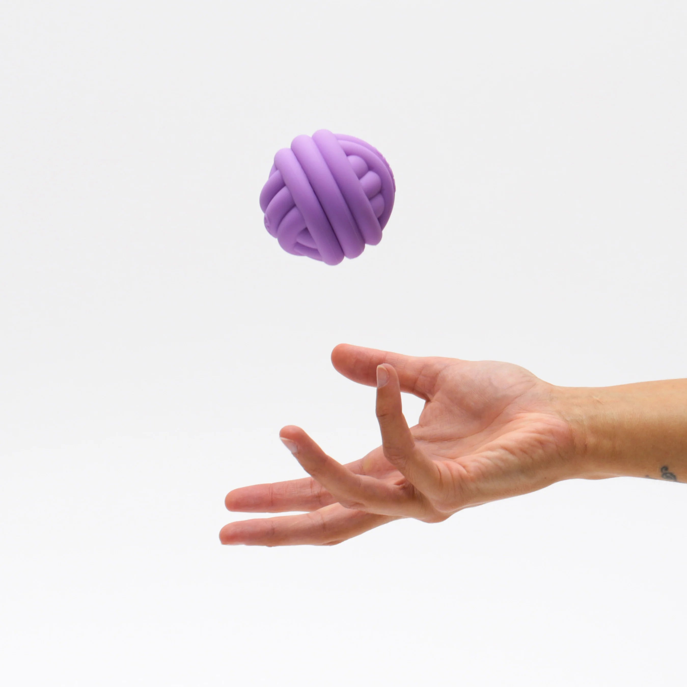 CDSG x Zee.Cat - Cat Treat Toy