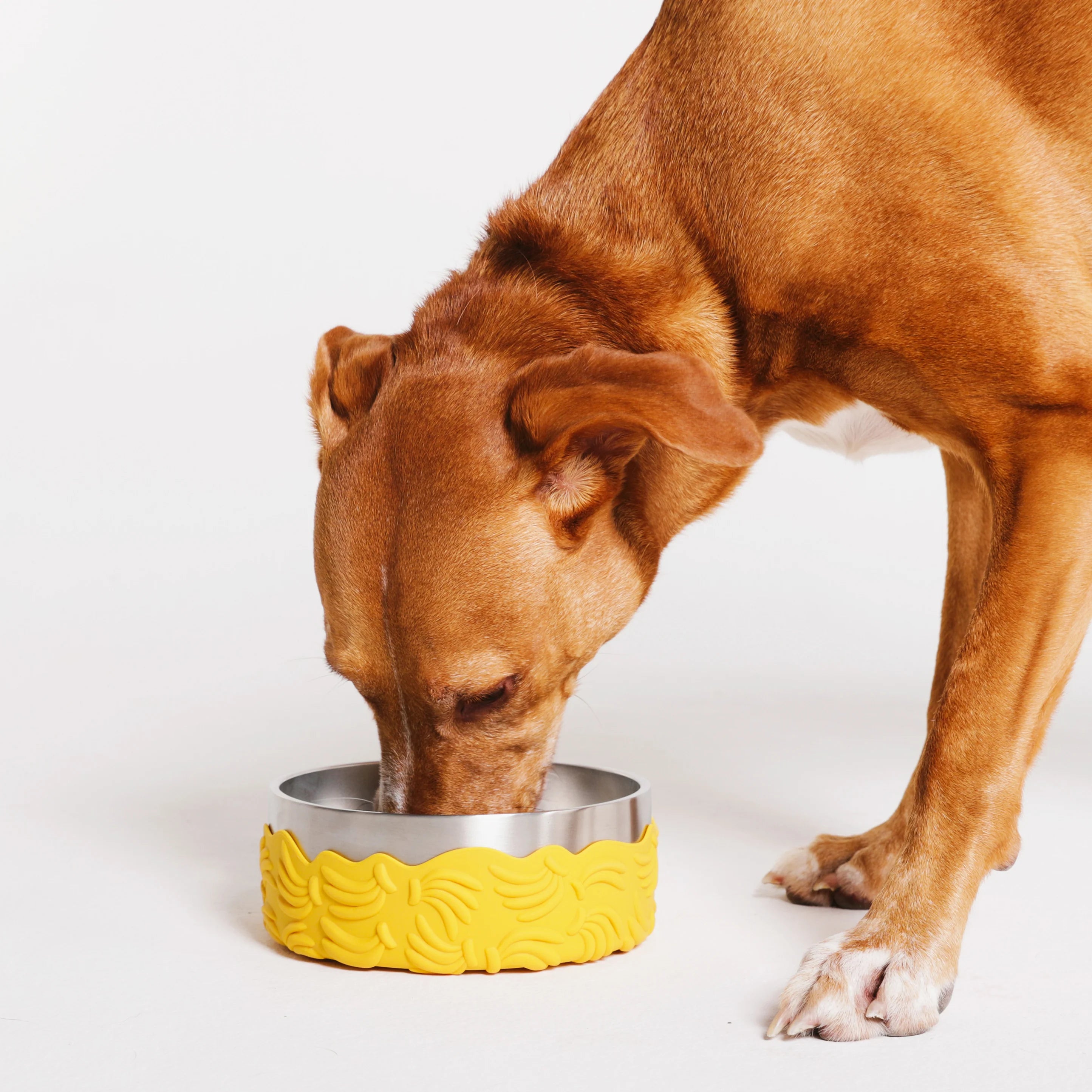 Farm Rio x Zee.Dog Bossa Banana Tuff Dog Bowl