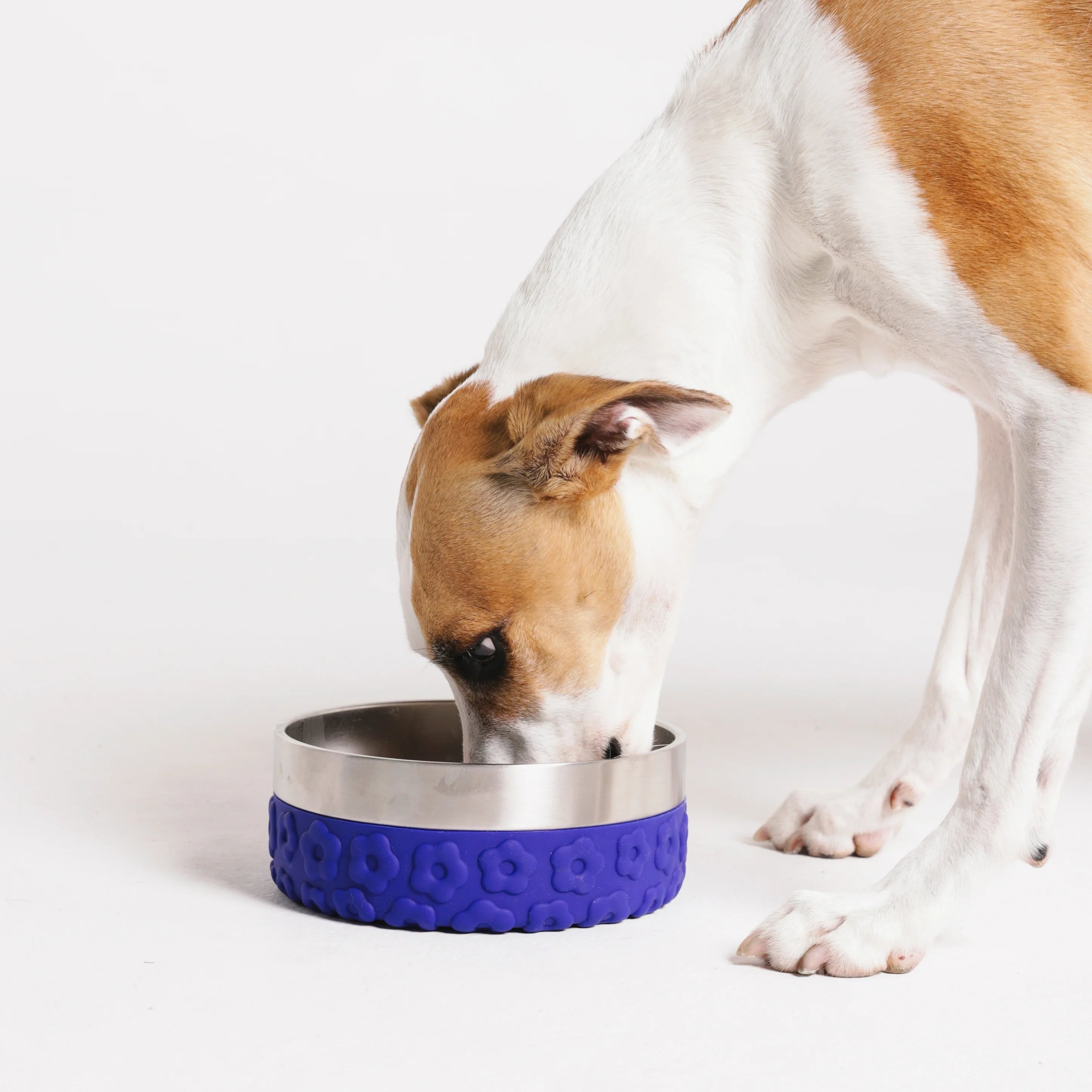 Farm Rio x Zee.Dog Samba Tuff Dog Bowl