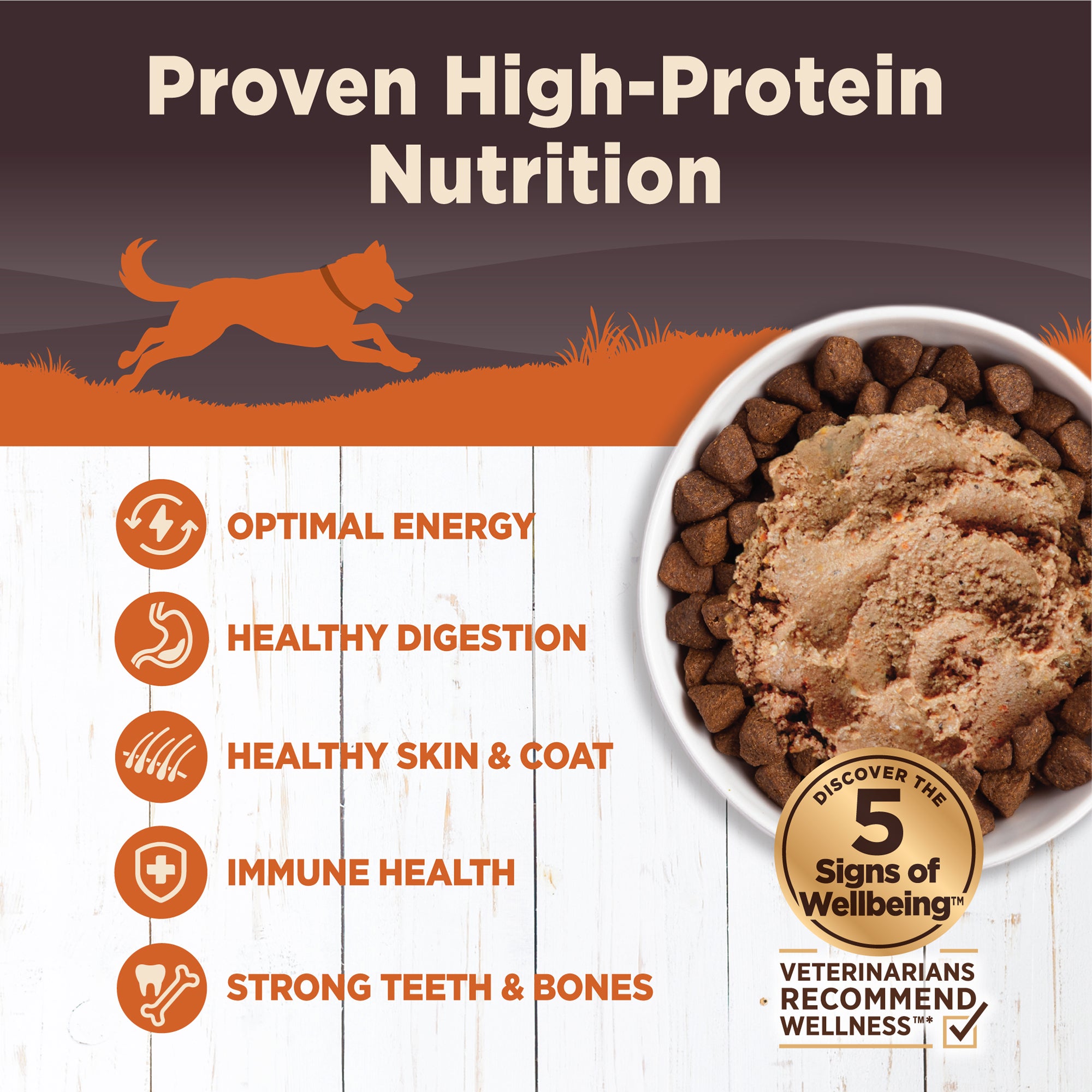 Wellness CORE Grain-Free Turkey, Chicken Liver & Turkey Liver Canned Wet Dog Food (12.5oz)