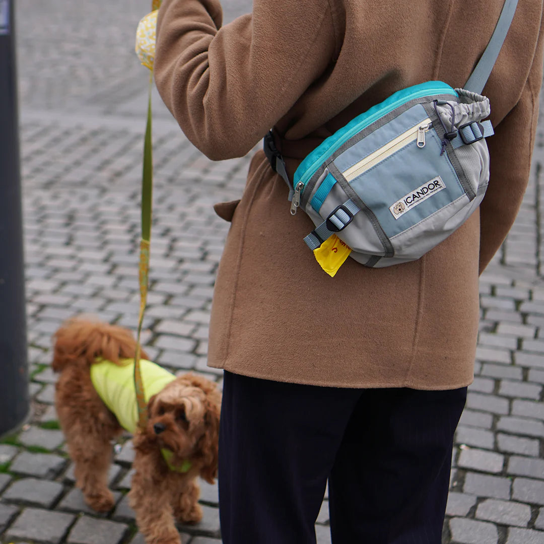 Urban Explorer Walking Bag | Ice Gray